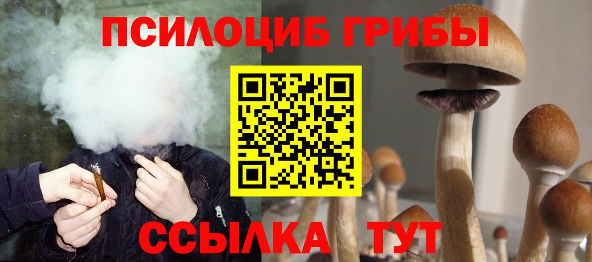 Псилоцибиновые грибы прущие грибы Черногорск
