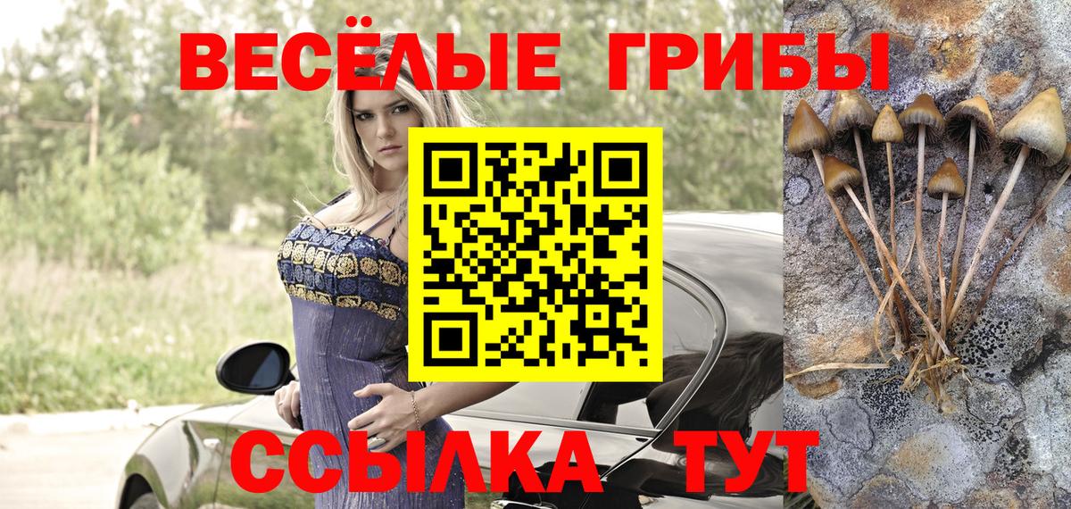 Галлюциногенные грибы мицелий  Вход с VPN  Черногорск 